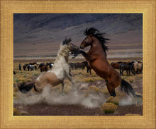 Load image into Gallery viewer, Desert Duel 5