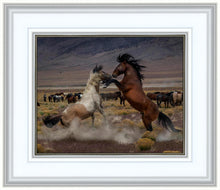 Load image into Gallery viewer, Desert Duel 5