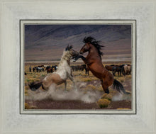 Load image into Gallery viewer, Desert Duel 5