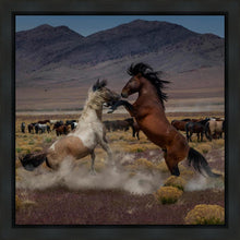 Load image into Gallery viewer, Desert Duel 5