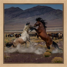 Load image into Gallery viewer, Desert Duel 5