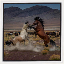Load image into Gallery viewer, Desert Duel 5