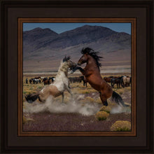 Load image into Gallery viewer, Desert Duel 5