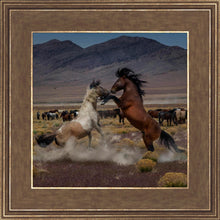 Load image into Gallery viewer, Desert Duel 5