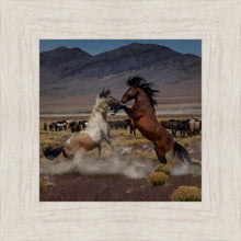 Load image into Gallery viewer, Desert Duel 5