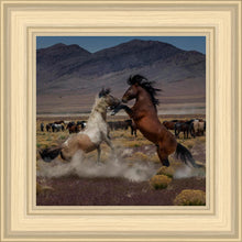 Load image into Gallery viewer, Desert Duel 5