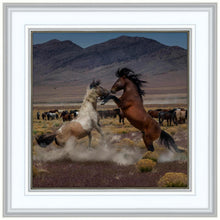 Load image into Gallery viewer, Desert Duel 5
