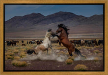 Load image into Gallery viewer, Desert Duel 5