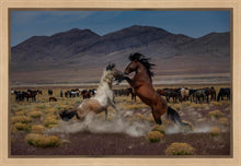 Load image into Gallery viewer, Desert Duel 5