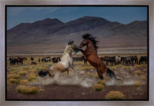 Load image into Gallery viewer, Desert Duel 5