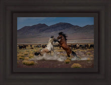 Load image into Gallery viewer, Desert Duel 5