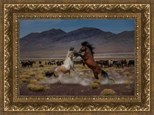 Load image into Gallery viewer, Desert Duel 5