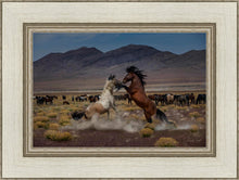 Load image into Gallery viewer, Desert Duel 5