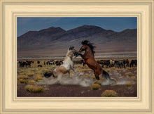 Load image into Gallery viewer, Desert Duel 5