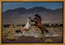 Load image into Gallery viewer, Desert Duel 5