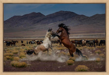 Load image into Gallery viewer, Desert Duel 5