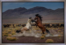 Load image into Gallery viewer, Desert Duel 5