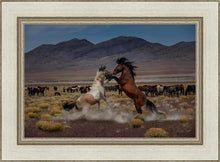 Load image into Gallery viewer, Desert Duel 5