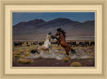 Load image into Gallery viewer, Desert Duel 5