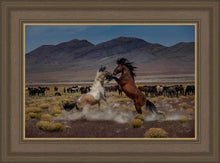 Load image into Gallery viewer, Desert Duel 5