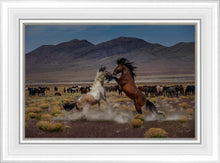 Load image into Gallery viewer, Desert Duel 5