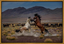 Load image into Gallery viewer, Desert Duel 5