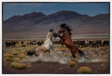 Load image into Gallery viewer, Desert Duel 5