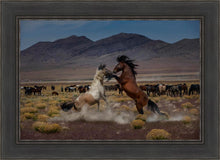 Load image into Gallery viewer, Desert Duel 5