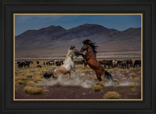 Load image into Gallery viewer, Desert Duel 5