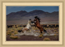 Load image into Gallery viewer, Desert Duel 5
