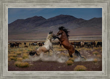 Load image into Gallery viewer, Desert Duel 5