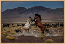 Load image into Gallery viewer, Desert Duel 5
