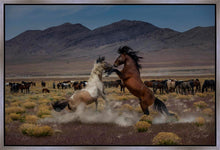Load image into Gallery viewer, Desert Duel 5