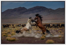 Load image into Gallery viewer, Desert Duel 5