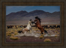 Load image into Gallery viewer, Desert Duel 5