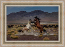Load image into Gallery viewer, Desert Duel 5