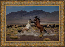 Load image into Gallery viewer, Desert Duel 5