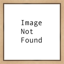Load image into Gallery viewer, A New Day In Pocatello