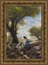 Load image into Gallery viewer, Shepherd's Counsel