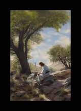 Load image into Gallery viewer, Shepherd's Counsel