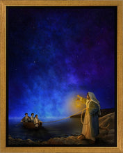 Load image into Gallery viewer, The Rescue