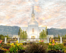 Load image into Gallery viewer, Orem Utah Sunrise Flowers