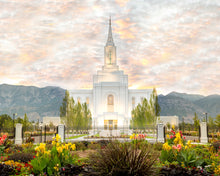 Load image into Gallery viewer, Orem Utah Sunrise Flowers