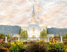 Load image into Gallery viewer, Orem Utah Sunrise Flowers