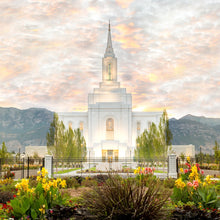 Load image into Gallery viewer, Orem Utah Sunrise Flowers