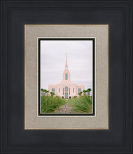 Load image into Gallery viewer, Red Cliffs Utah Palm Trees