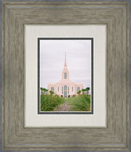Load image into Gallery viewer, Red Cliffs Utah Palm Trees