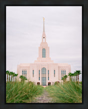 Load image into Gallery viewer, Red Cliffs Utah Palm Trees