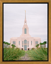 Load image into Gallery viewer, Red Cliffs Utah Palm Trees
