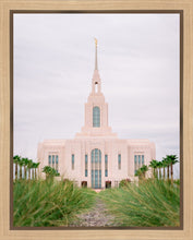Load image into Gallery viewer, Red Cliffs Utah Palm Trees